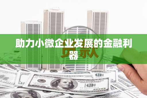 昭平助力小微企业发展的金融利器