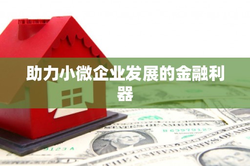 昭平助力小微企业发展的金融利器