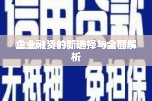 昭平企业融资的新选择与全面解析