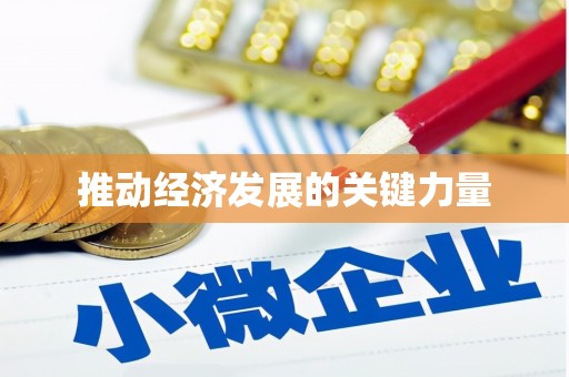昭平推动经济发展的关键力量