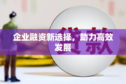 昭平企业融资新选择，助力高效发展