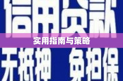 昭平实用指南与策略