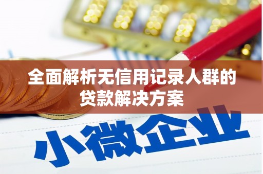 昭平全面解析无信用记录人群的贷款解决方案